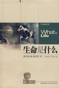 生命是什么封面